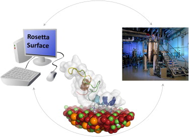 Mechanism of polyubiquitin chain recognition by the human ubiquitin conjugating enzyme Ube2g2