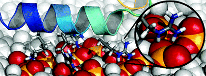 Structure prediction of domain insertion proteins from structures of the individual domains