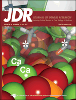 Analysis and Modeling of the Variable Region of Camelid Single Domain Antibodies