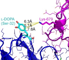 A Comprehensive, High-Resolution Map of a Gene's Fitness Landscape